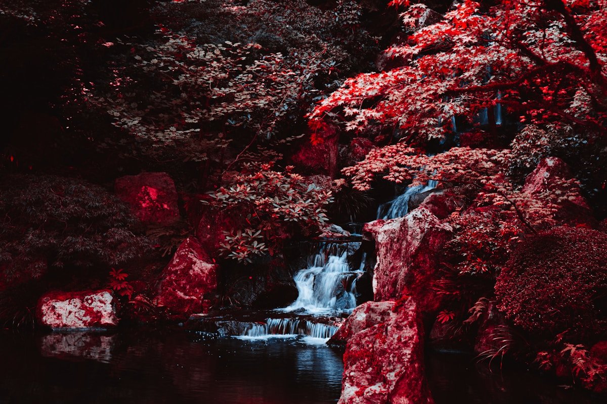 Forest waterfall cascading through rocks in Nikko National Park