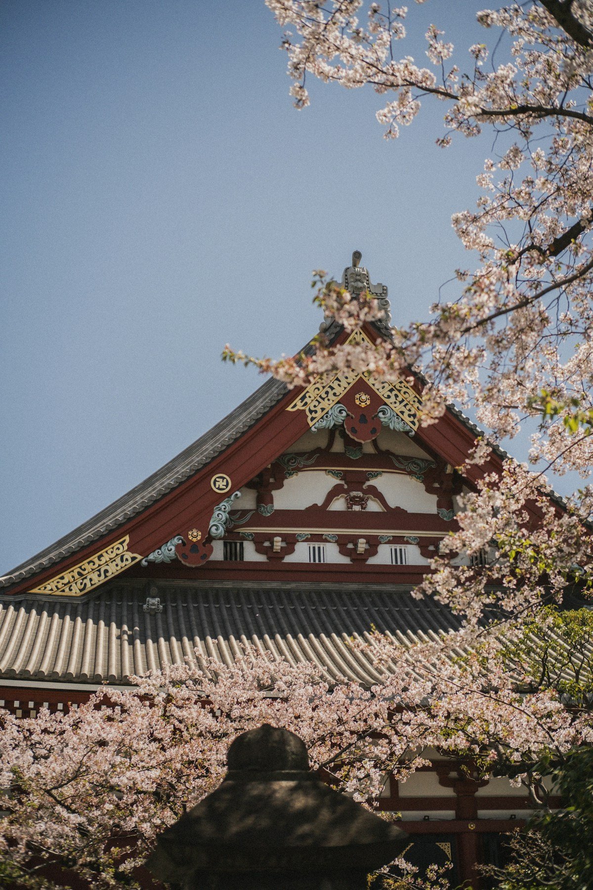 Two weeks in Japan — temple and cherry blossom
